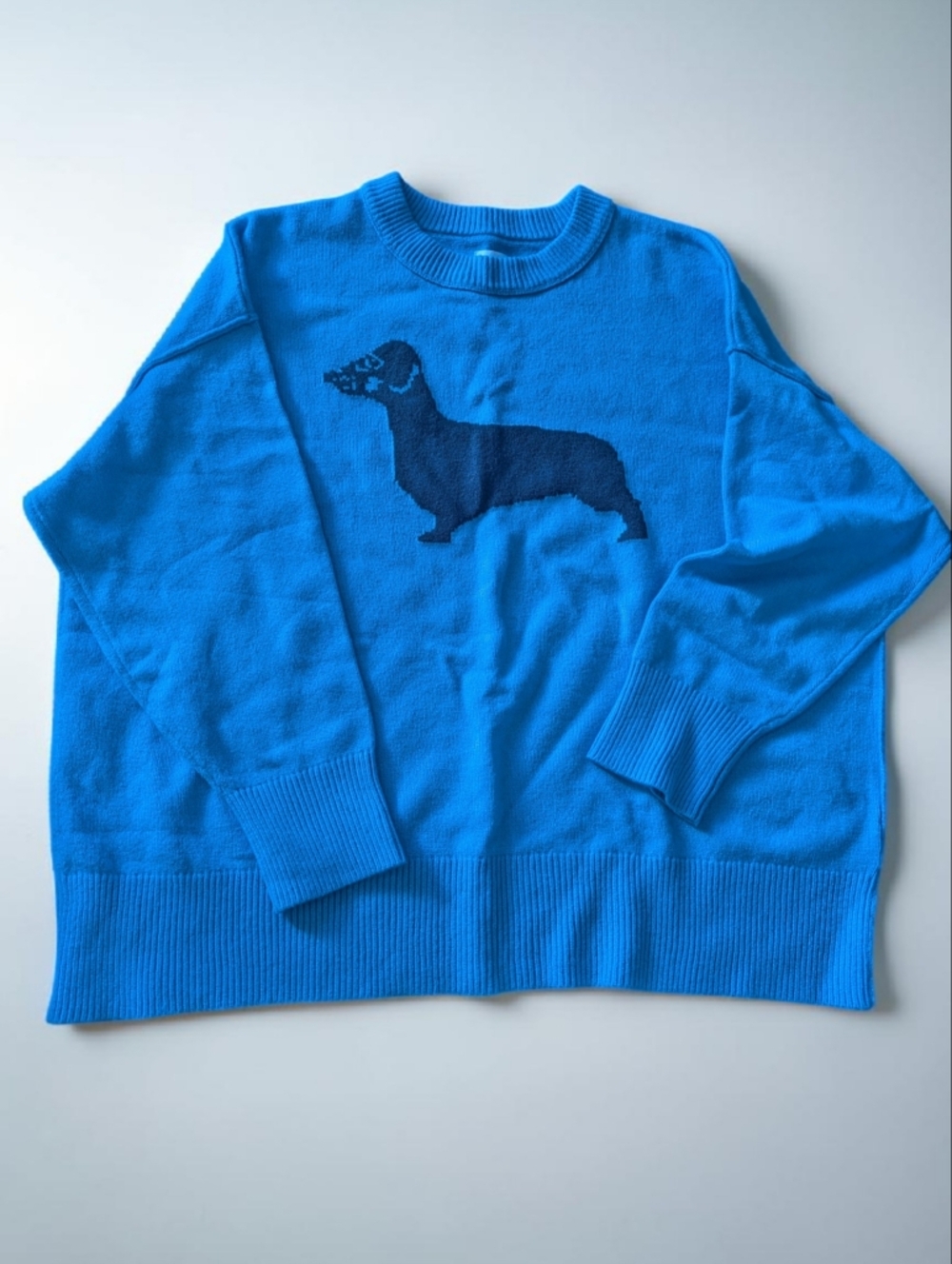 Aerie Blue Dachshund Knit Sweater